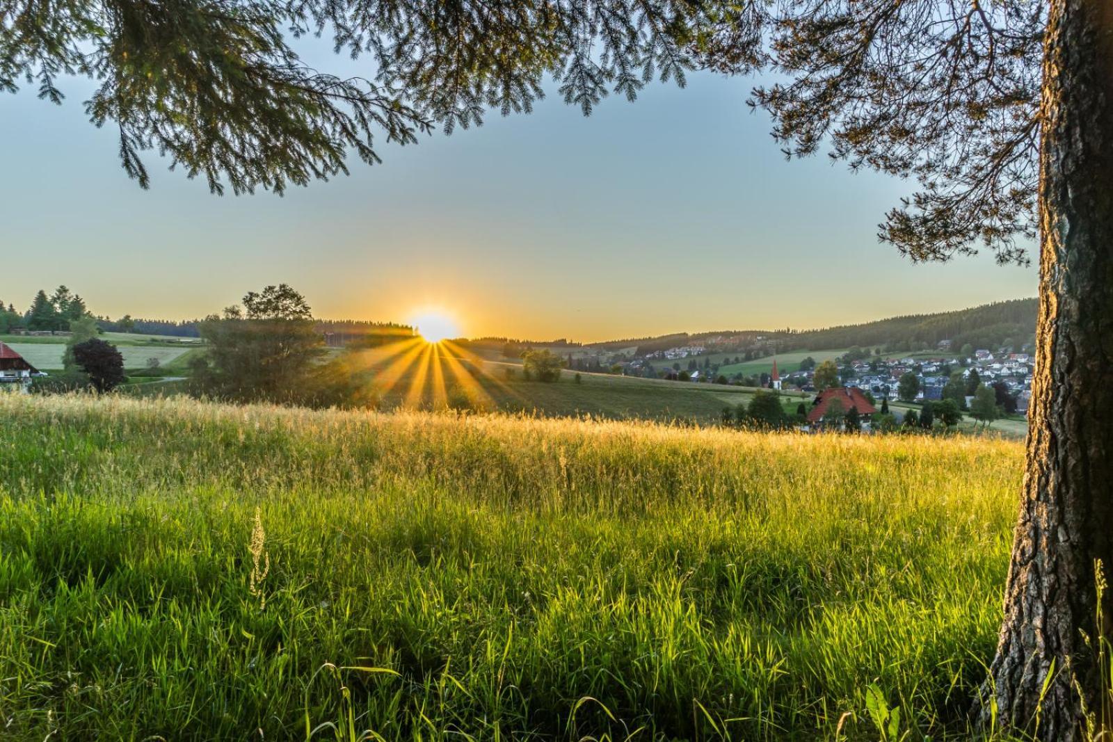 Landhaus Panoramablick Schonach im Schwarzwald Esterno foto