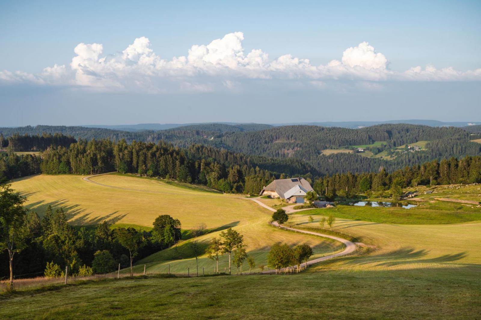 Landhaus Panoramablick Schonach im Schwarzwald Esterno foto