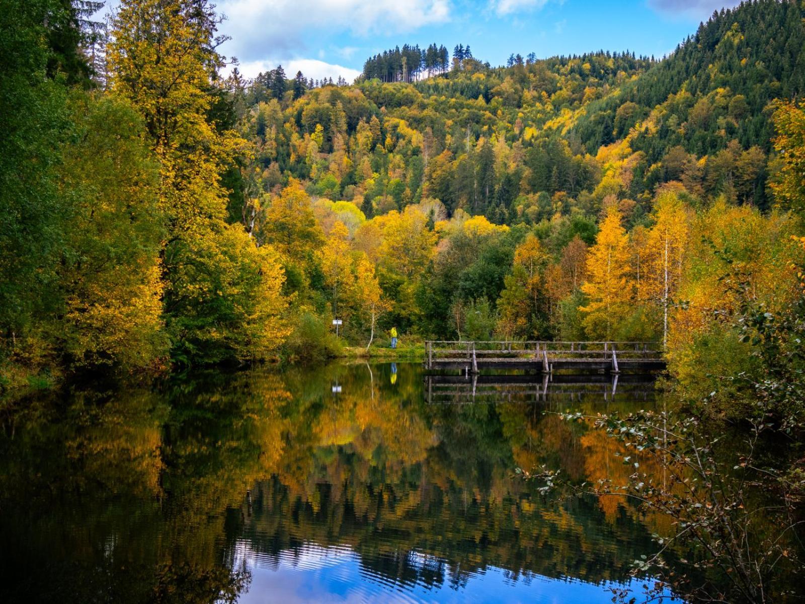 Landhaus Panoramablick Schonach im Schwarzwald Esterno foto