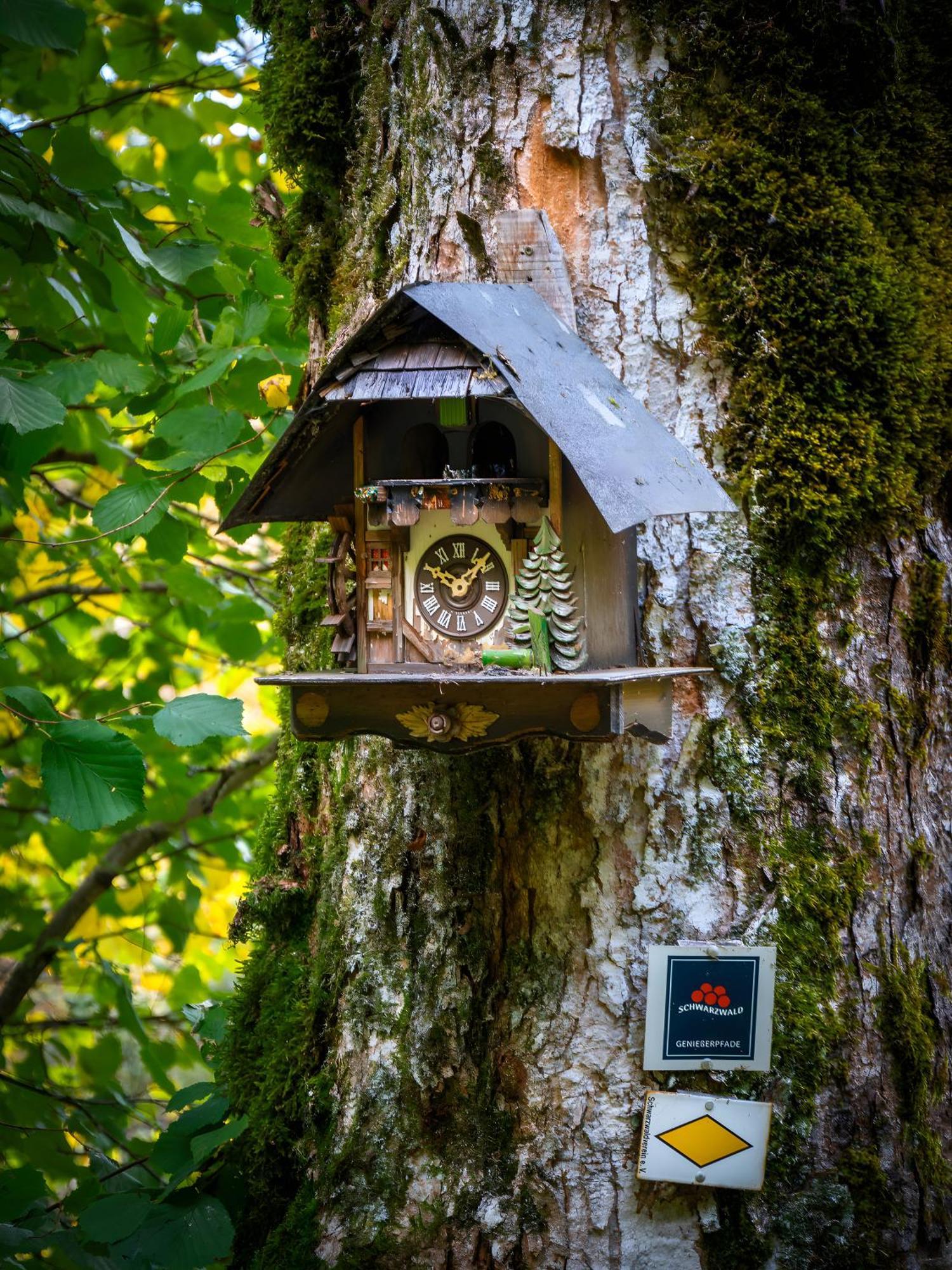 Landhaus Panoramablick Schonach im Schwarzwald Esterno foto